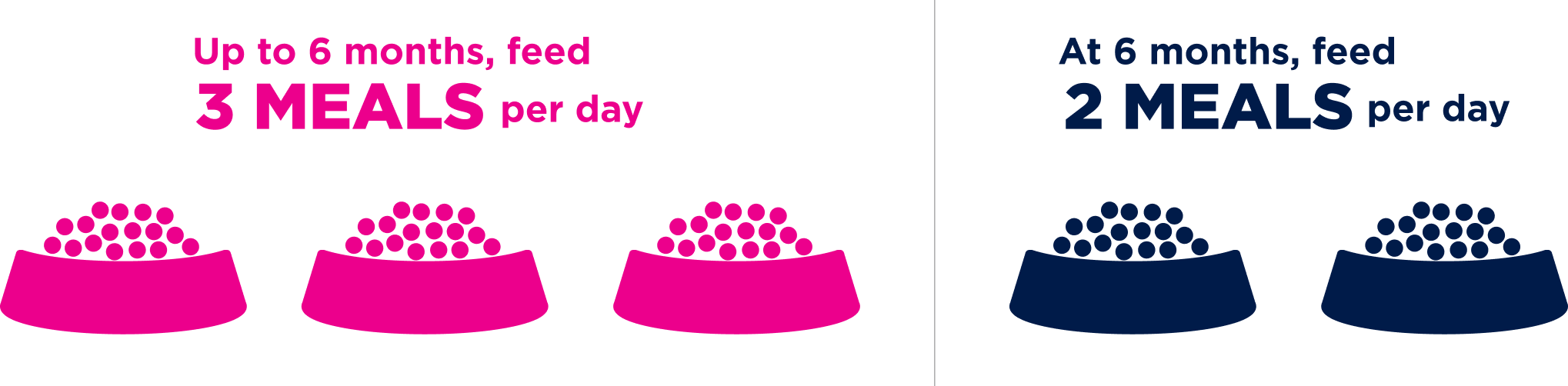 Hasta los 6 meses, alimentalo con 3 COMIDAS al día. A los 6 meses, alimentalo con 2 COMIDAS al día.