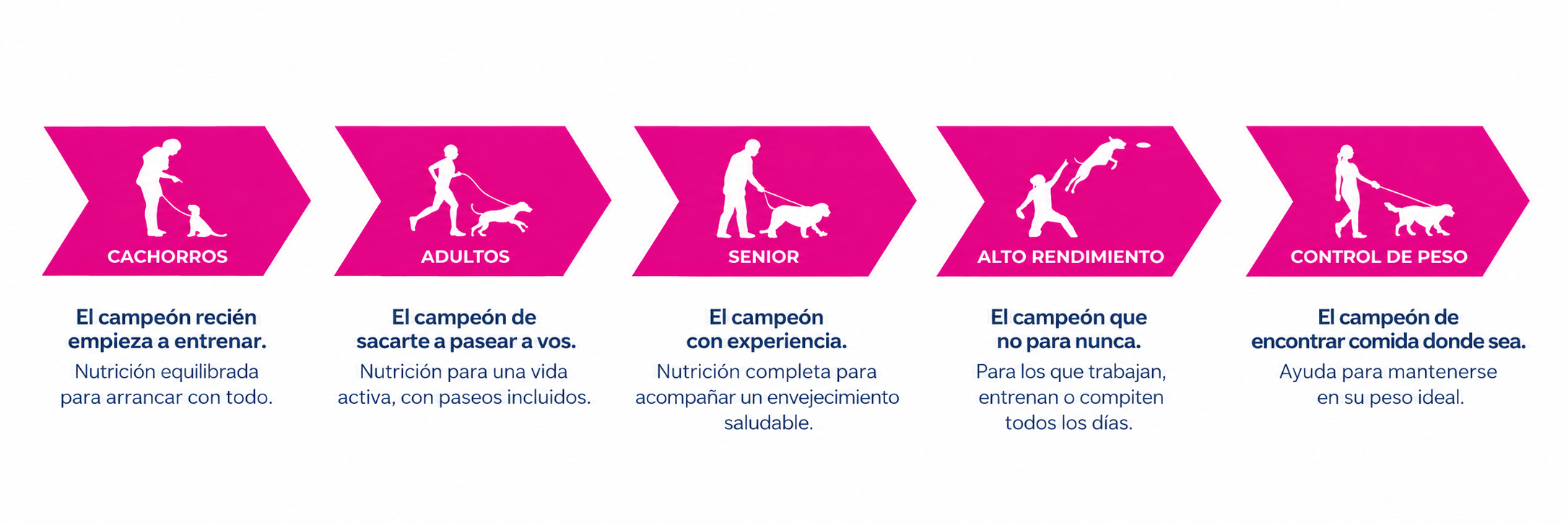 GUIA PERROS - CAMP