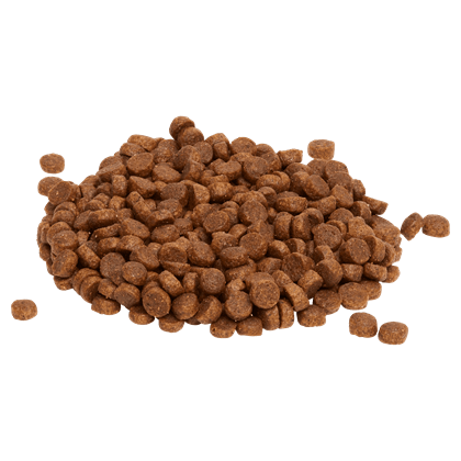 Puppy Small Breed Kibble