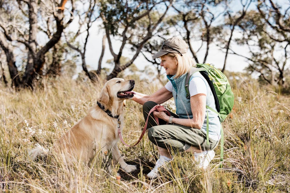 Woman kneeling beside Golden Retriever and patting its head