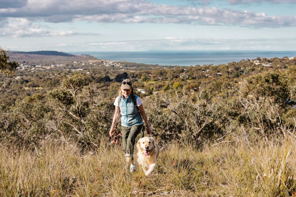 Woman walking up hill with Golden Retriever on lead