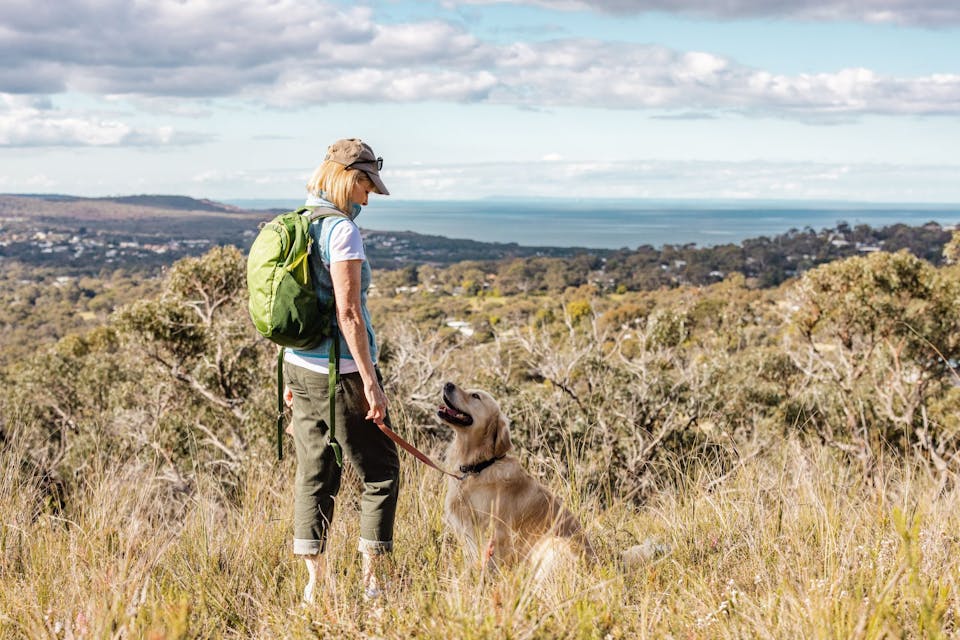Woman standing next to Golden Retriever at the top of a hill
