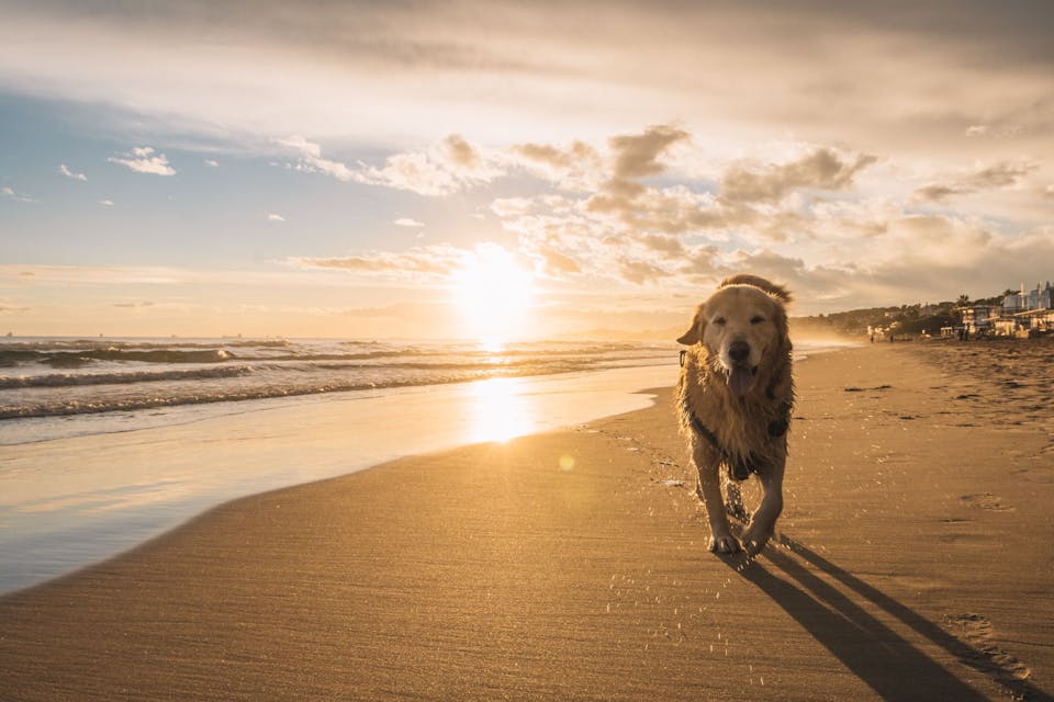 Content Block With Text And Image 1