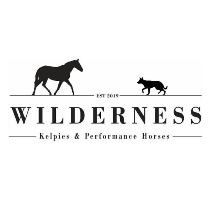 Wilderness Logo
