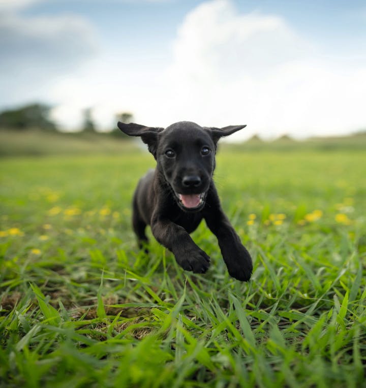 Content Block With Text And Image 1