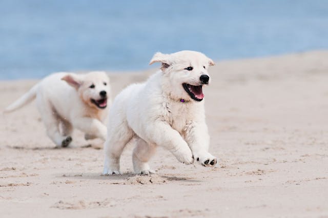 Content Block With Text And Image 4