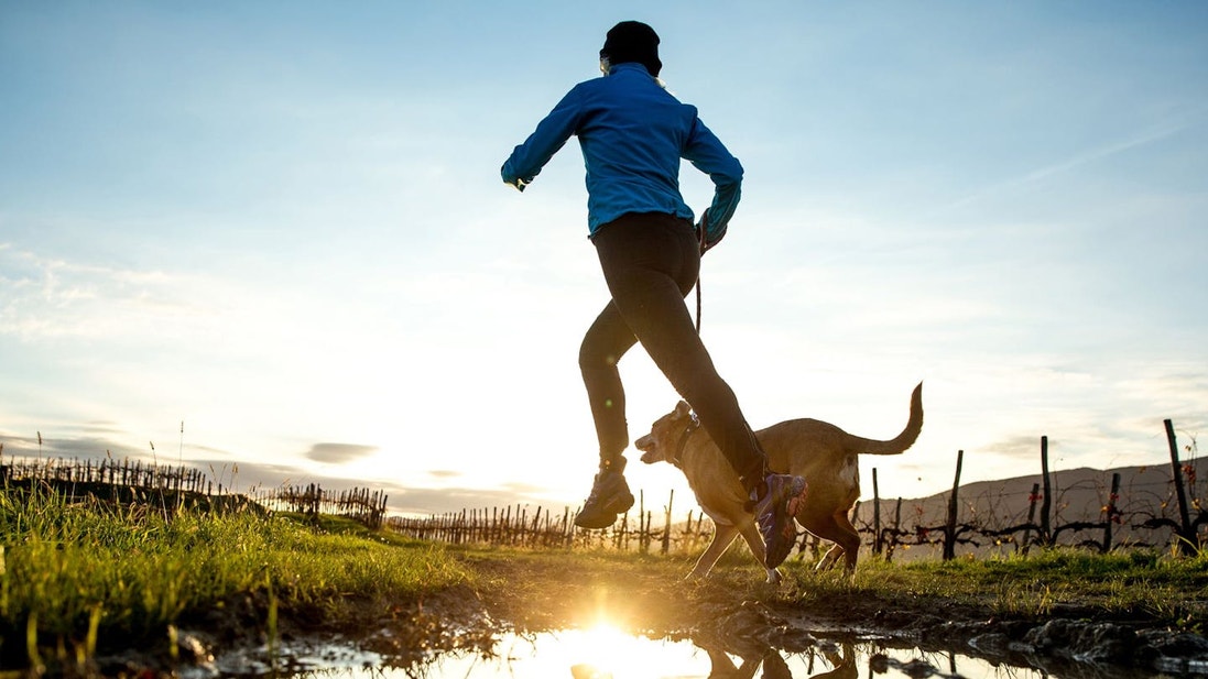 Dog running in a field with a man at sunset