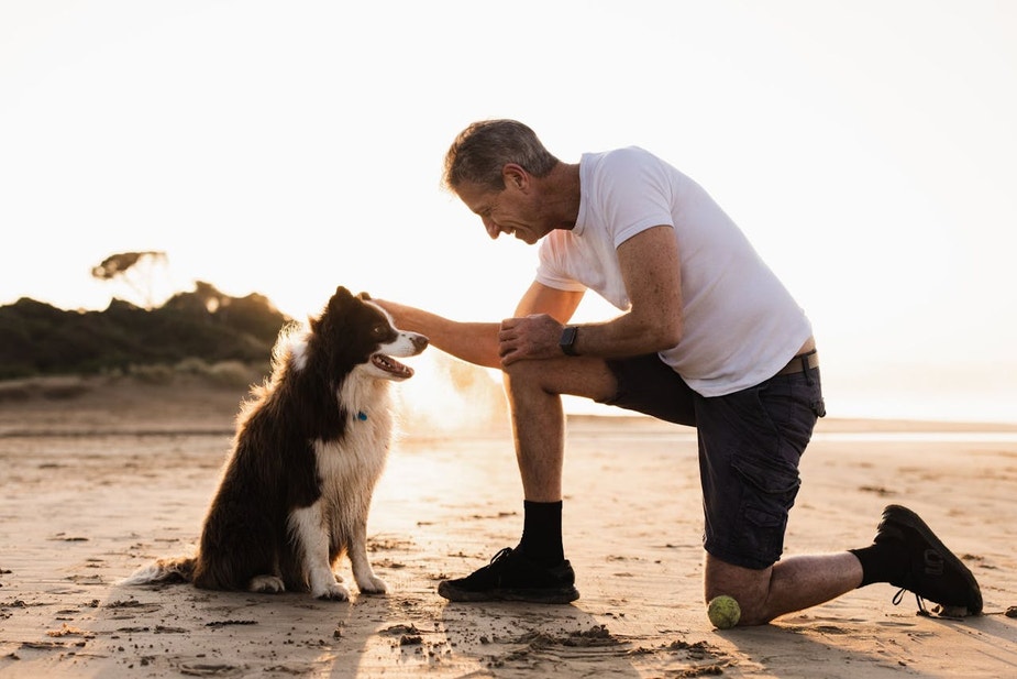 2024 World dog day competition 