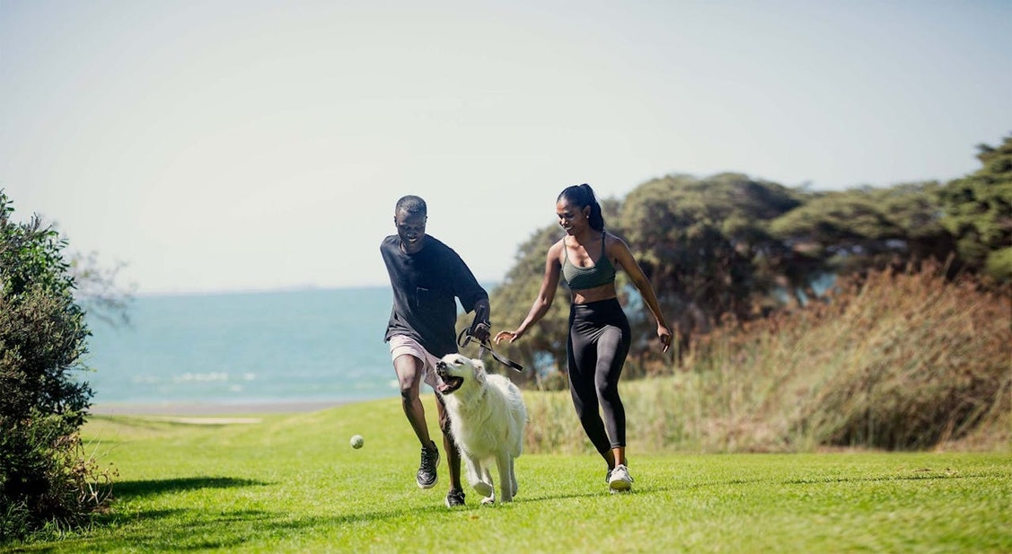  The Best Dog Parks in Brisbane (Fenced and Off-leash)