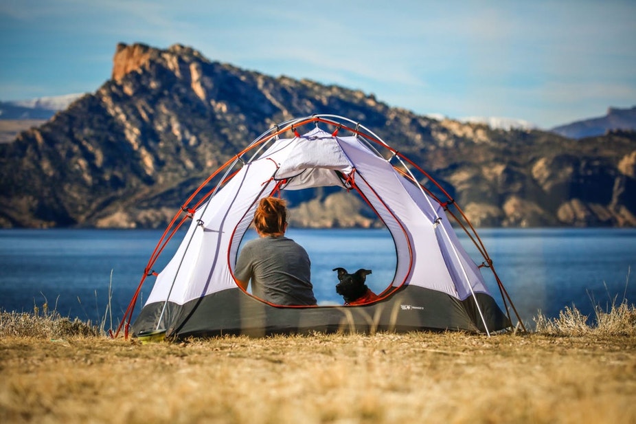 The Best Dog-Friendly Camping Spots in WA