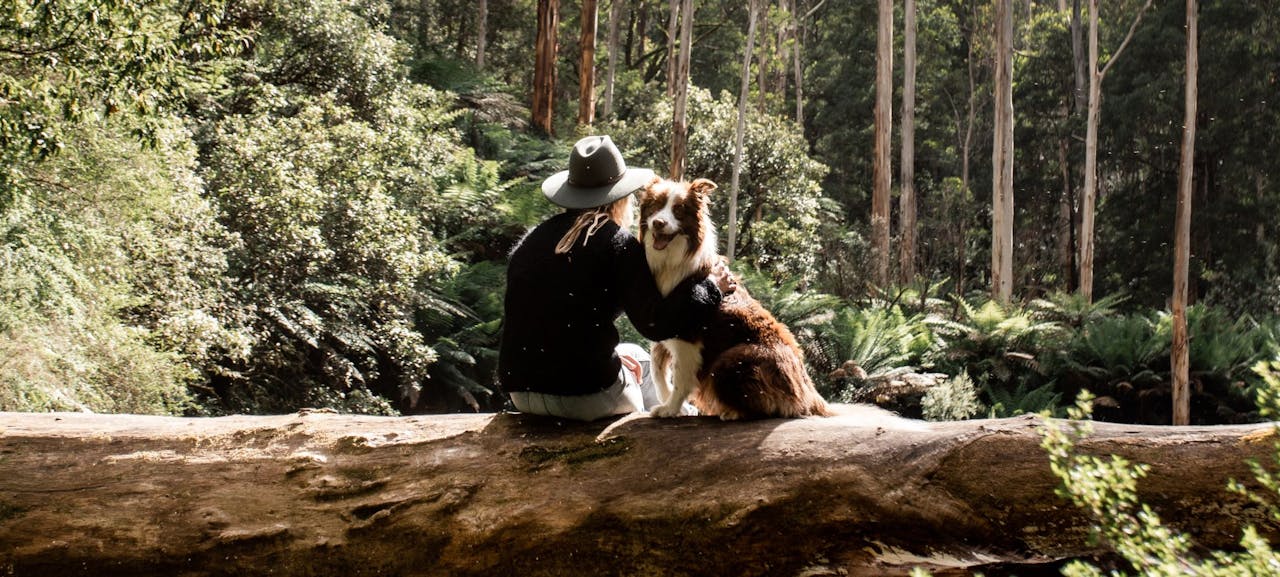Woman sitting next to Border Collie in thick bushland