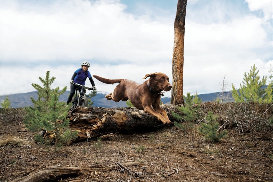 market image mountain bike