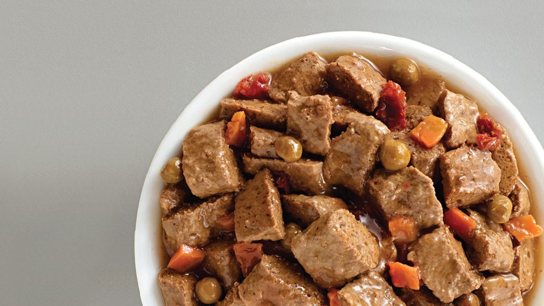 Bowl with Eukanuba wet dog food