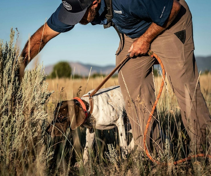 Handler scent training a GSP on a checkcord