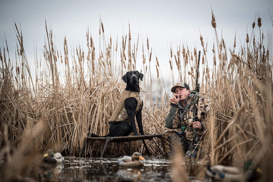 Josh Miller calling ducks while his black Lab waits on a stand
