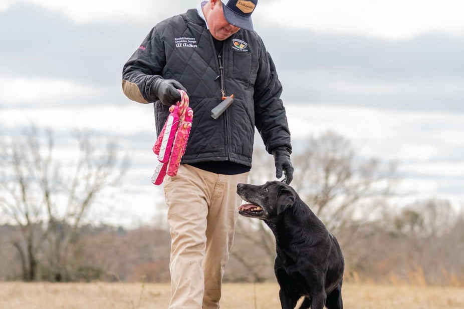 Pro dog trainer Al Arthur carrying bumpers into a field with a Lab walking by his side