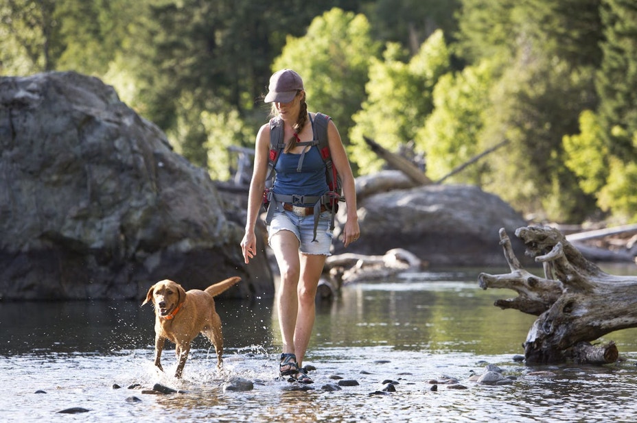 Woman and dog hiking through stream