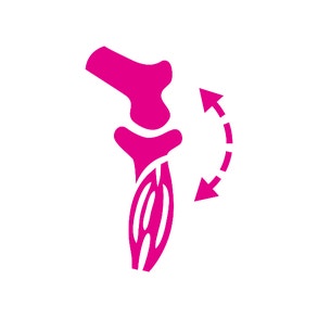 Icono de sustento esquelético y articular