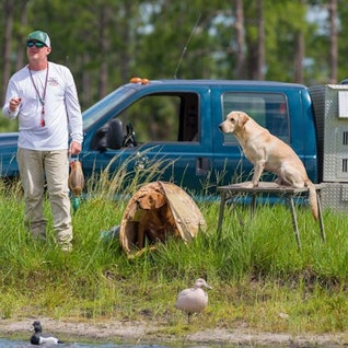 Jeremy Criscoe training his UK Labs