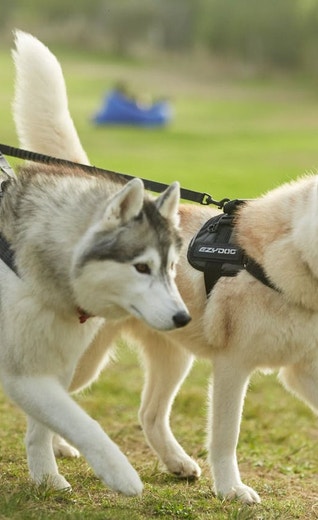 /nz/sites/g/files/fnmzdf6526/files/2024-11/anz-euk-hub-parkrun-1.jpeg