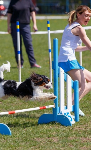 /sites/g/files/fnmzdf5906/files/2024-08/eukanuba-hub-activities-articles-activities-article-5.jpeg