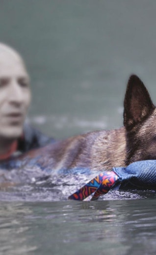 /sites/g/files/fnmzdf5906/files/2024-08/eukanuba-hub-health-article-health-article-6-crop.jpeg