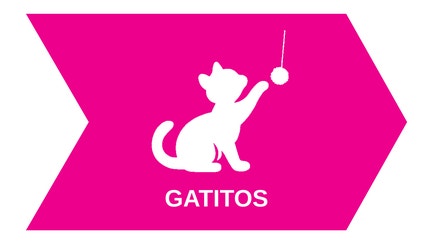 03Gatitos.png