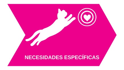05Necesidades_Especificas.png