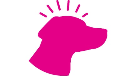 Dog brain support icon