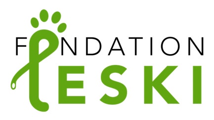 Foundation Leski