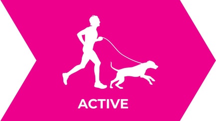 Graphic of man running with dog on leash