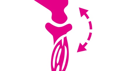 Agile joints icon