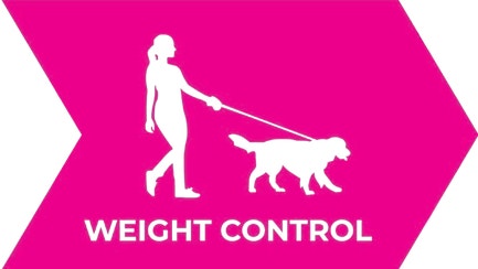 Woman walking a dog on a leash