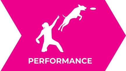 Performance Icon