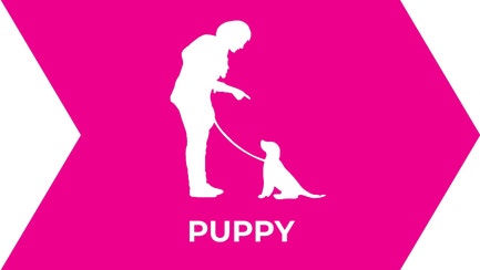 Puppy Icon