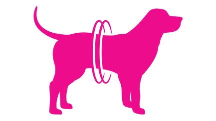 Graphic of dog silhouette with rings highlighting its stomach 