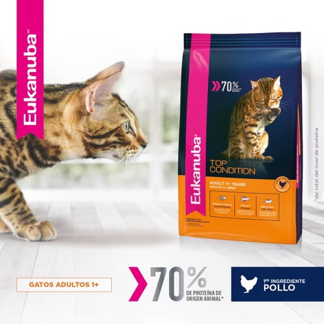 Eukanuba Gato Adulto - Top Condition image 1