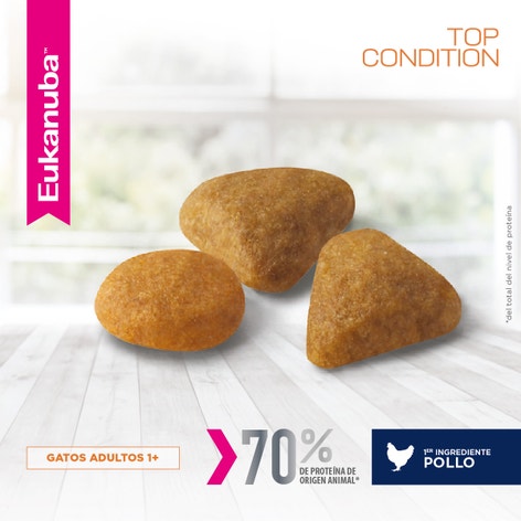 Eukanuba Gato Adulto - Top Condition image 1