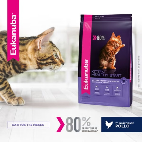 Eukanuba Gatito Kitten - Healthy Start image 1