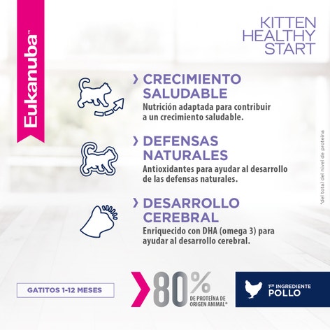 Eukanuba Gatito Kitten - Healthy Start image 1
