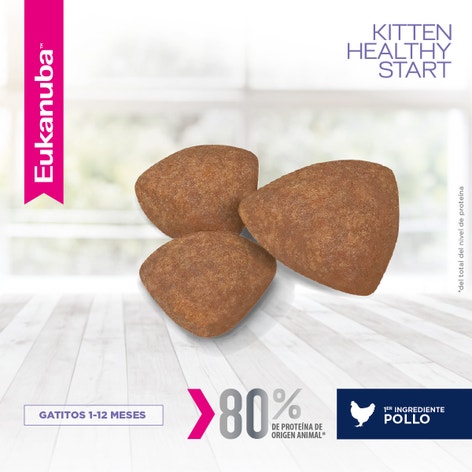 Eukanuba Gatito Kitten - Healthy Start image 1