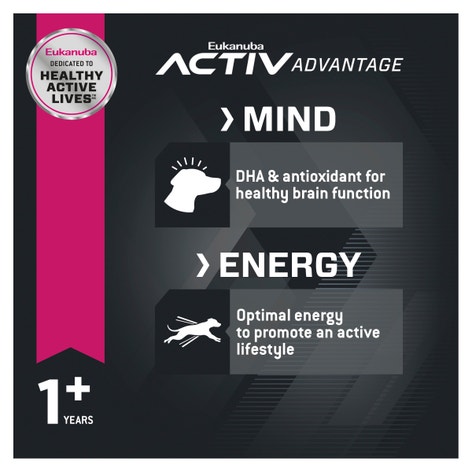 image Eukanuba%E2%84%A2%20Adult%20Small%20Breed%20Dry%20Dog%20Food%204