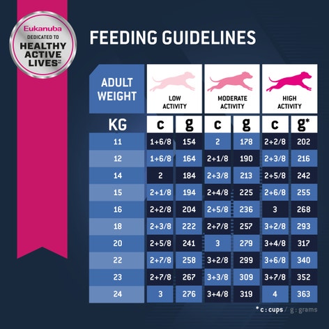 image Eukanuba%E2%84%A2%20Senior%20Medium%20Breed%20Dry%20Dog%20Food%206