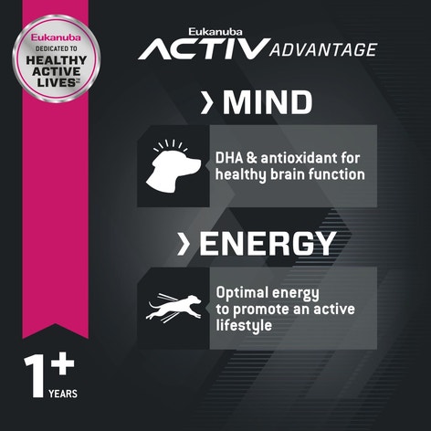 Eukanuba™ Adult Small Breed Dry Dog Food image 1