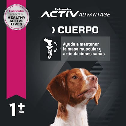 image euk-sp-adult-mediumbreed-chicken-mv-eretailkit-3
