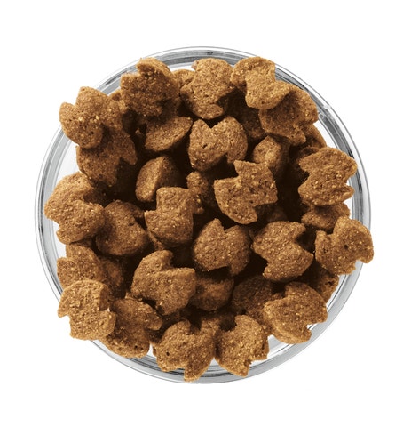 image eukanuba-kibble-bowl-adult-senior-fit-body-medium-breed