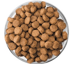 image eukanuba-kibble-bowl-puppy-medium-large-breed%20%281%29
