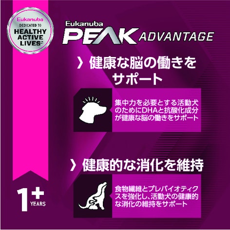 プレミアム パフォーマンス 21/13 スプリント image 1