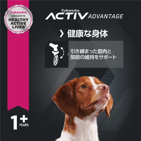 Eukanuba ユーカヌバ　成犬用　ラム　15kg ユーカヌバ アダルト ラム＆ライス 成犬用 全犬種用 1歳以上