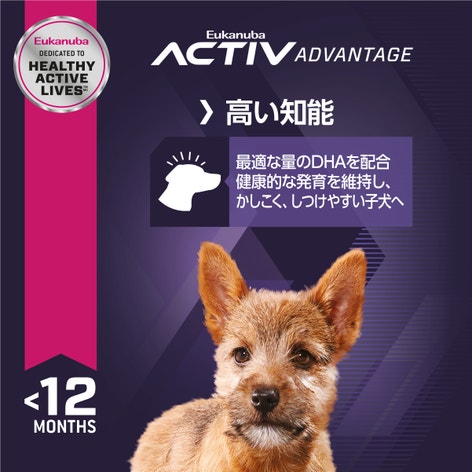 Eukanuba スモール パピー 子犬　小・中型犬用　〜12ヶ月まで 15Kg スモール パピー | Eukanuba JP